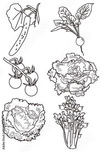 もじじ on twitter: "春野菜ぬりえ (ご自由におぬりください) http://t.co/9eiv8lcehe" 塗り絵 簡単 野菜