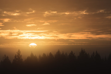 Fototapeta premium Sunrise over forest