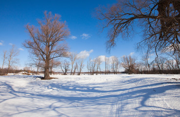 winter sunny landscape