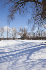 winter sunny landscape