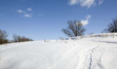 Obraz premium winter sunny landscape