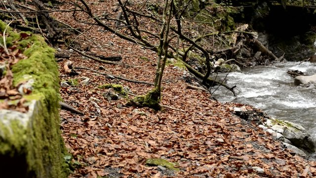 stream, djavolji prolaz