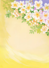 Naklejka premium Watercolor cherry blossom with copyspace