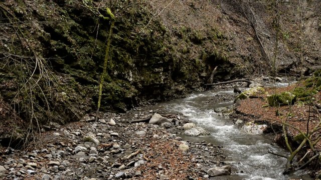 stream in djavolji prolaz