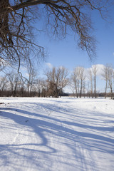 winter sunny landscape