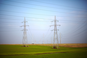 Electricity poles on a meadow