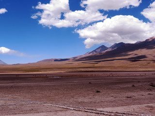 Altiplano Péruvien