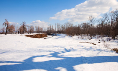 Obraz premium early spring