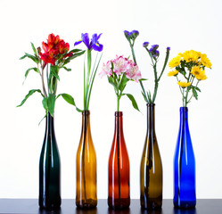 beautiful flowers in colorful bottles - 73673196