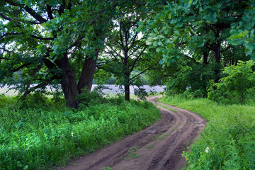 road in a field