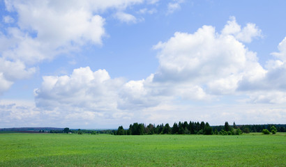 green boundless field