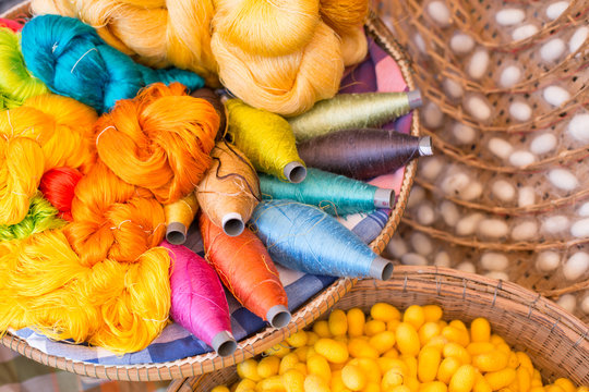 colorful silk thread and silkworm cocoons