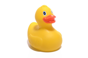 duck toy