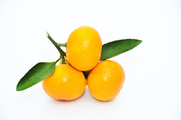 orange fruit