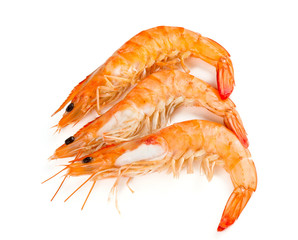 cooked shrimps isolated on white