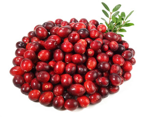 Cranberries