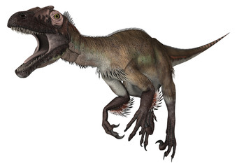 Dinosaur Utahraptor