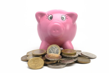 Euros and piggy bank