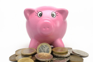 Euros and piggy bank