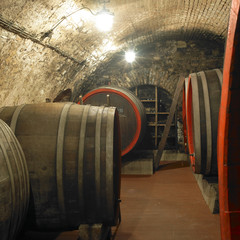 wine cellar, Czech Republic
