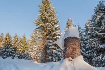 Winterlandschaft