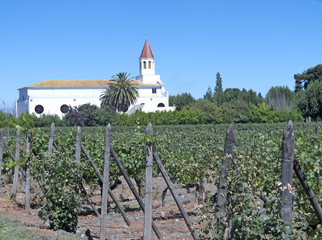 Fototapeta na wymiar Wine industry in Maipo valley, Chile