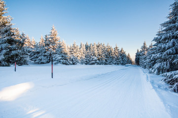 Winterlandschaft