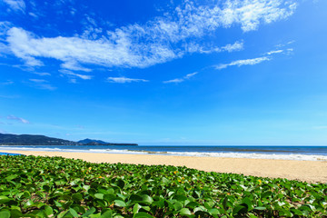 Tropical beach with clear sky