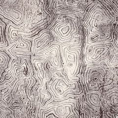 Close up old cement wall texture