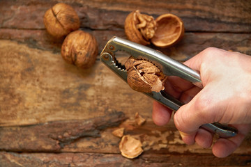 Man cracking walnut with metal nutcracker in hand on wooden back