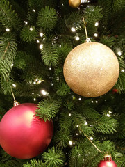 Weihnachtsbaum - close up