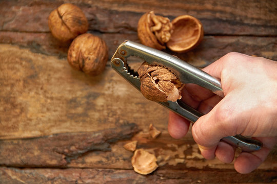 Man Cracking Walnut With Metal Nutcracker In Hand On Wooden Back