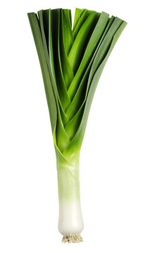 Leek