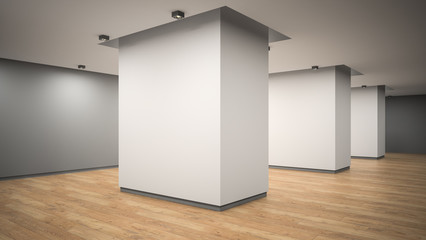 Empty gallery interior angle view 3D rendering