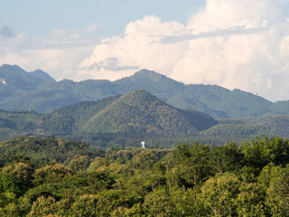 Fototapeta premium Tea garden under cloudy blue sky in Chiangrai
