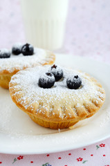 Homemade mini cakes with berries and icing sugar