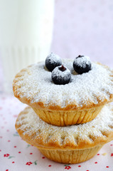 Homemade mini cakes with berries and icing sugar
