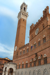 Obraz premium The famous tower in Siena. Tuscany