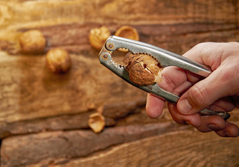 Man cracking walnut with metal nutcracker in hand on wooden back