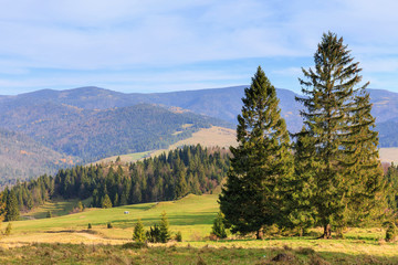 landscape with mountains and trees