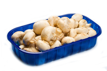 vaschetta funghi champignon