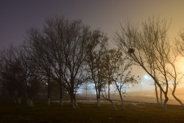 Fototapeta na wymiar A night view in the park in foggy weather