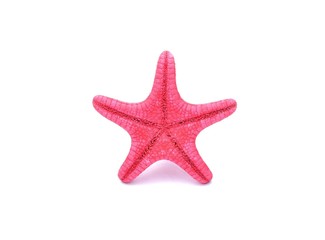 Fototapeta na wymiar Red Starfish on white background
