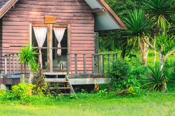 wooden house and garden architecture design