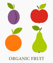 Organic fruit icons