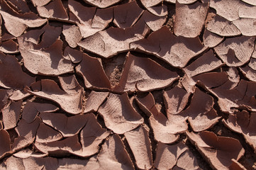 Dry cracked bottom of a lake Textured Background