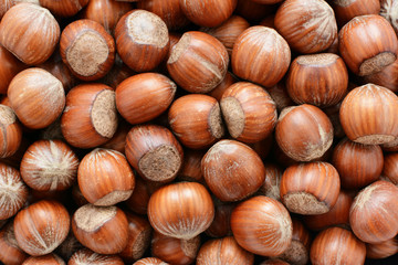 Hazelnuts background