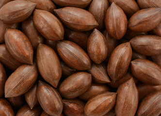 Pecan nuts background