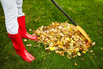 Fall leaves with rake