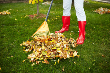 Fall leaves with rake